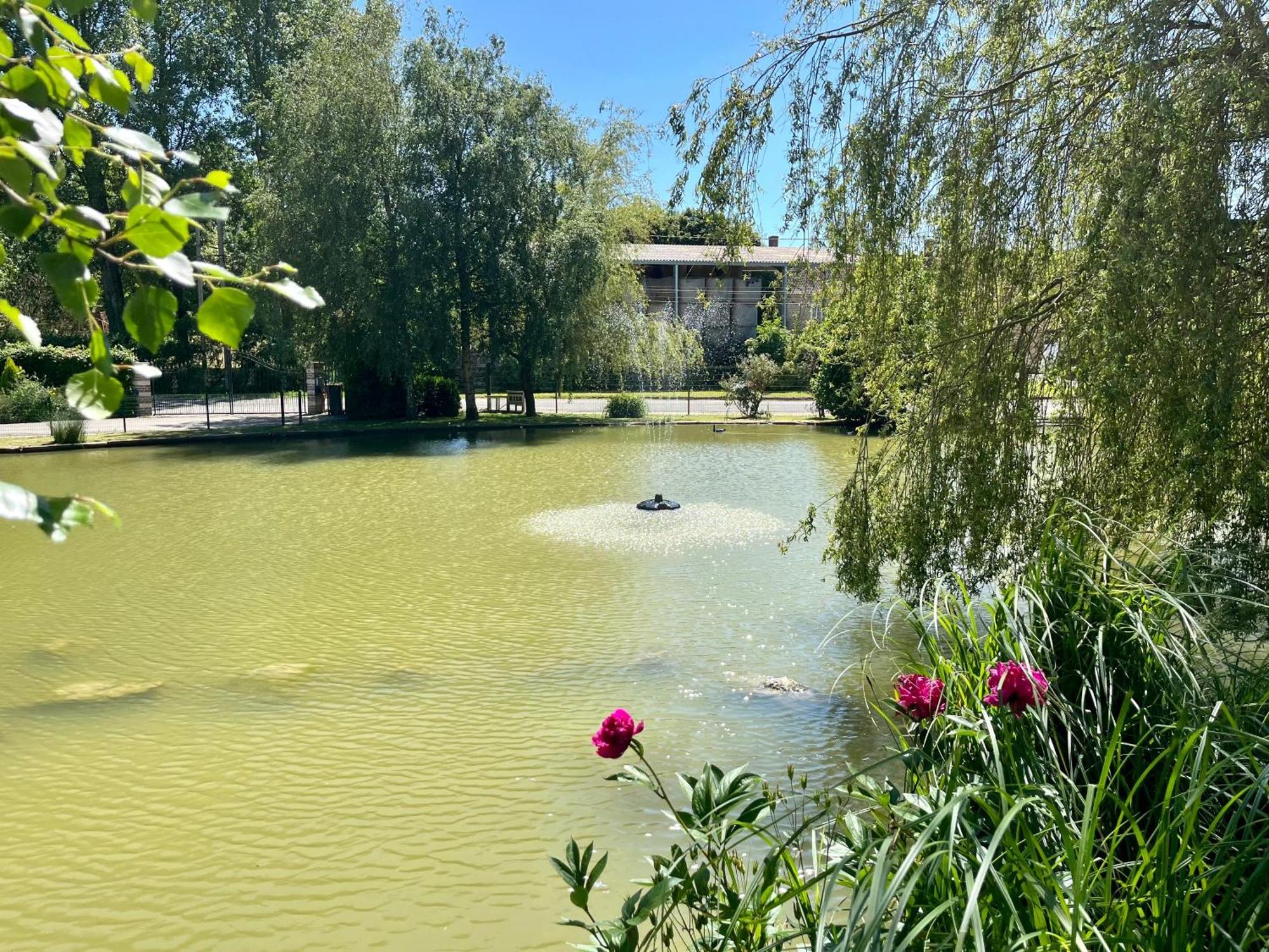 L'Etang D'Une Pause Samer 외부 사진